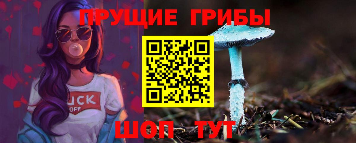 купить  цена  Псилоцибиновые грибы мицелий  Вход с VPN  Галлюциногенные грибы MAGIC MUSHROOMS  Владивосток 